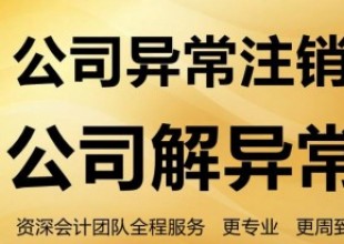 公司自己做账报税流程